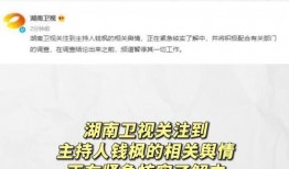 娱乐圈吃瓜文件,揭秘“吃瓜文件”背后的真相